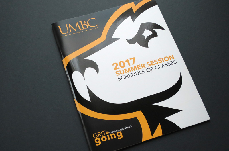 informational booklet design